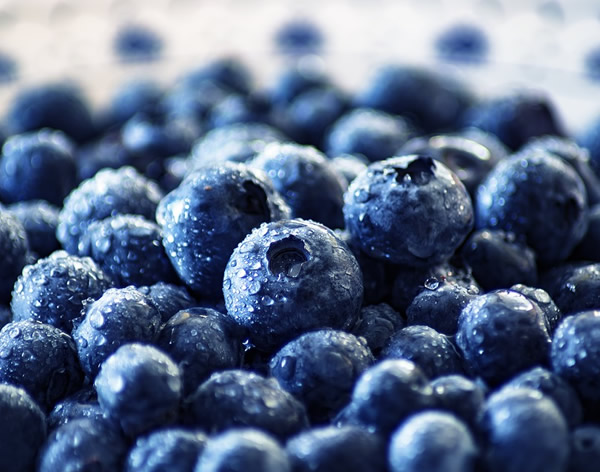冷凍藍莓，一個被嚴重低估的產品
